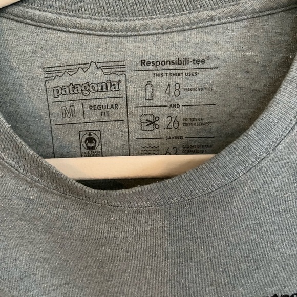 Patagonia Mens Long Sleeve Tarpon World Trout Responsibili-Tee Cadet Blue - Picture 3 of 5